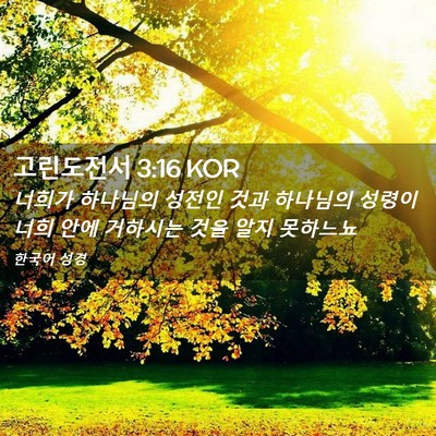 Picture 02 - 고린도전서 3:16 KOR - 너희가 하나님의 성전인 것과 - Bible Verse Picture