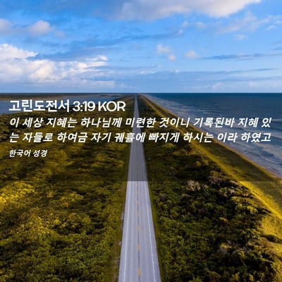 Picture 02 - 고린도전서 3:19 KOR - 이 세상 지혜는 하나님께 미련한 - Bible Verse Picture