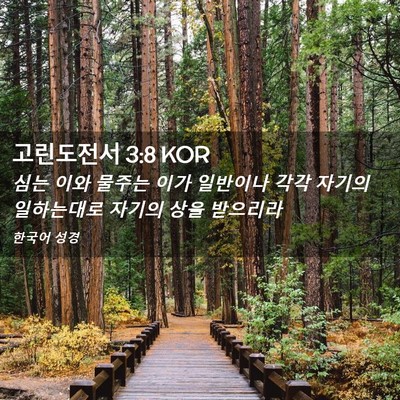 Picture 02 - 고린도전서 3:8 KOR - 심는 이와 물주는 이가 일반이나 - Bible Verse Picture