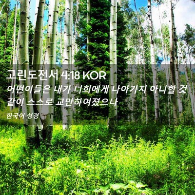 Picture 02 - 고린도전서 4:18 KOR - 어떤이들은 내가 너희에게 나아가지 - Bible Verse Picture