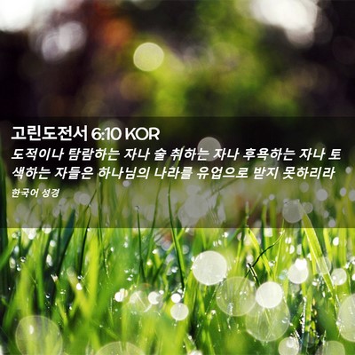 Picture 02 - 고린도전서 6:10 KOR - 도적이나 탐람하는 자나 술 취하는 - Bible Verse Picture