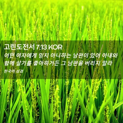 Picture 02 - 고린도전서 7:13 KOR - 어떤 여자에게 믿지 아니하는 남편이 - Bible Verse Picture