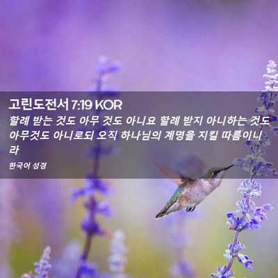Picture 02 - 고린도전서 7:19 KOR - 할례 받는 것도 아무 것도 아니요 - Bible Verse Picture