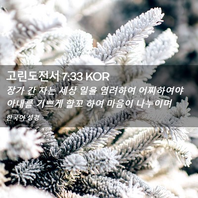 Picture 02 - 고린도전서 7:33 KOR - 장가 간 자는 세상 일을 염려하여 - Bible Verse Picture