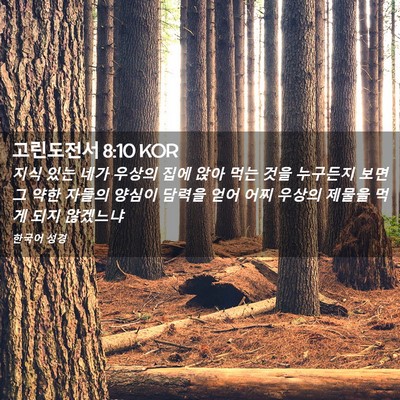 Picture 02 - 고린도전서 8:10 KOR - 지식 있는 네가 우상의 집에 앉아 - Bible Verse Picture