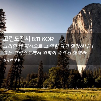 Picture 02 - 고린도전서 8:11 KOR - 그러면 네 지식으로 그 약한 자가 - Bible Verse Picture