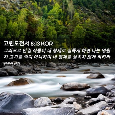 Picture 02 - 고린도전서 8:13 KOR - 그러므로 만일 식물이 내 형제로 - Bible Verse Picture