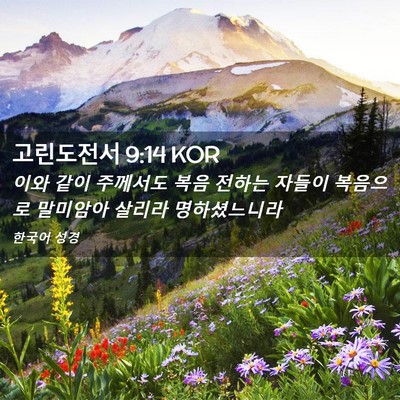 Picture 02 - 고린도전서 9:14 KOR - 이와 같이 주께서도 복음 전하는 - Bible Verse Picture