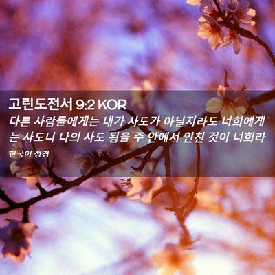 Picture 02 - 고린도전서 9:2 KOR - 다른 사람들에게는 내가 사도가 - Bible Verse Picture