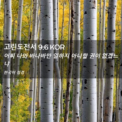 Picture 02 - 고린도전서 9:6 KOR - 어찌 나와 바나바만 일하지 아니할 - Bible Verse Picture