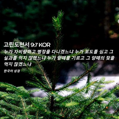 Picture 02 - 고린도전서 9:7 KOR - 누가 자비량하고 병정을 다니겠느냐 - Bible Verse Picture