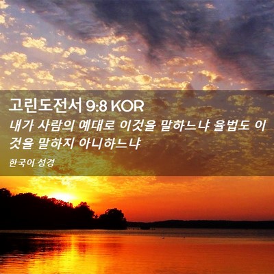Picture 02 - 고린도전서 9:8 KOR - 내가 사람의 예대로 이것을 말하느냐 - Bible Verse Picture