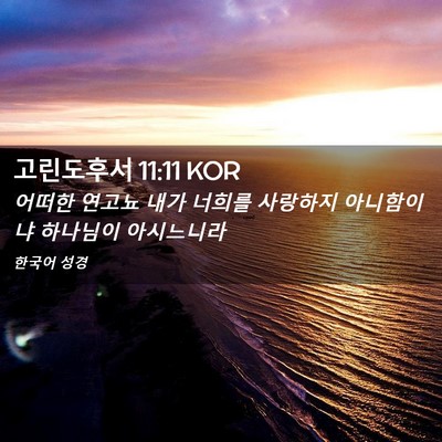 Picture 02 - 고린도후서 11:11 KOR - 어떠한 연고뇨 내가 너희를 사랑하지 - Bible Verse Picture