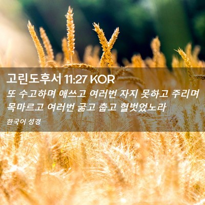 Picture 02 - 고린도후서 11:27 KOR - 또 수고하며 애쓰고 여러번 자지 - Bible Verse Picture