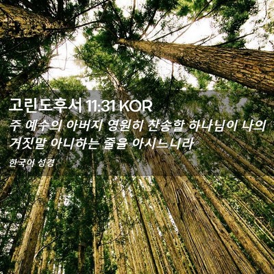 Picture 02 - 고린도후서 11:31 KOR - 주 예수의 아버지 영원히 찬송할 - Bible Verse Picture