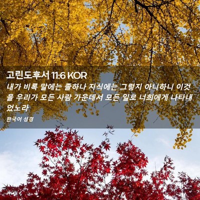Picture 02 - 고린도후서 11:6 KOR - 내가 비록 말에는 졸하나 지식에는 - Bible Verse Picture