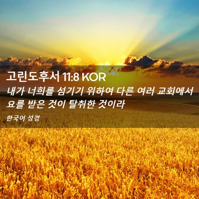 Picture 02 - 고린도후서 11:8 KOR - 내가 너희를 섬기기 위하여 다른 - Bible Verse Picture