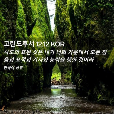 Picture 02 - 고린도후서 12:12 KOR - 사도의 표된 것은 내가 너희 - Bible Verse Picture