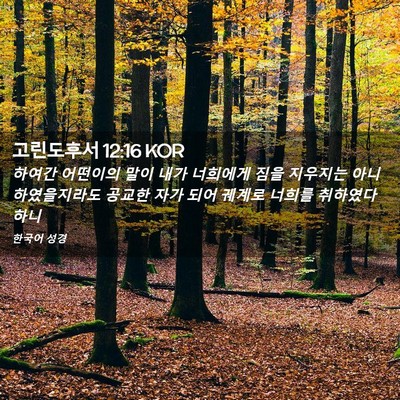 Picture 02 - 고린도후서 12:16 KOR - 하여간 어떤이의 말이 내가 너희에게 - Bible Verse Picture