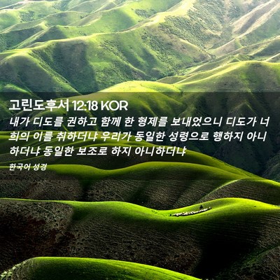 Picture 02 - 고린도후서 12:18 KOR - 내가 디도를 권하고 함께 한 형제를 - Bible Verse Picture