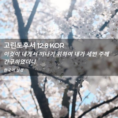 Picture 02 - 고린도후서 12:8 KOR - 이것이 내게서 떠나기 위하여 내가 - Bible Verse Picture