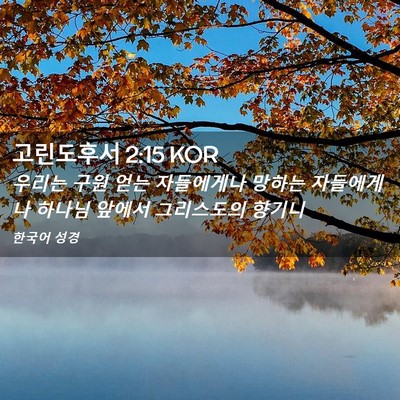 Picture 02 - 고린도후서 2:15 KOR - 우리는 구원 얻는 자들에게나 망하는 - Bible Verse Picture