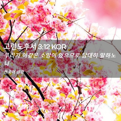 Picture 02 - 고린도후서 3:12 KOR - 우리가 이같은 소망이 있으므로 - Bible Verse Picture