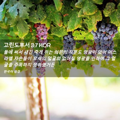 Picture 02 - 고린도후서 3:7 KOR - 돌에 써서 새긴 죽게 하는 의문의 - Bible Verse Picture