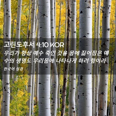 Picture 02 - 고린도후서 4:10 KOR - 우리가 항상 예수 죽인 것을 몸에 - Bible Verse Picture