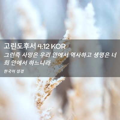 Picture 02 - 고린도후서 4:12 KOR - 그런즉 사망은 우리 안에서 역사하고 - Bible Verse Picture