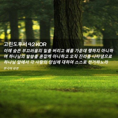Picture 02 - 고린도후서 4:2 KOR - 이에 숨은 부끄러움의 일을 버리고 - Bible Verse Picture