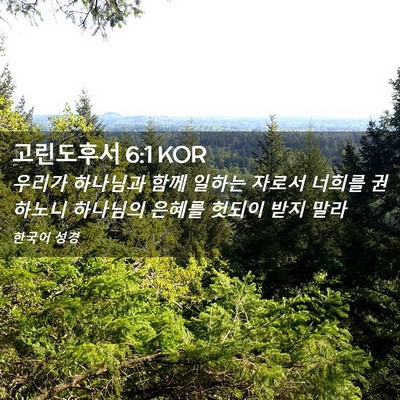 Picture 02 - 고린도후서 6:1 KOR - 우리가 하나님과 함께 일하는 자로서 - Bible Verse Picture