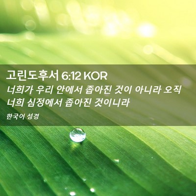 Picture 02 - 고린도후서 6:12 KOR - 너희가 우리 안에서 좁아진 것이 - Bible Verse Picture