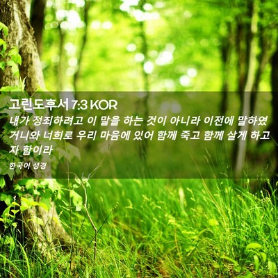 Picture 02 - 고린도후서 7:3 KOR - 내가 정죄하려고 이 말을 하는 것이 - Bible Verse Picture
