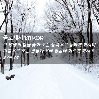 Picture 02 - 골로새서 1:11 KOR - 그 영광의 힘을 좇아 모든 능력으로 - Bible Verse Picture