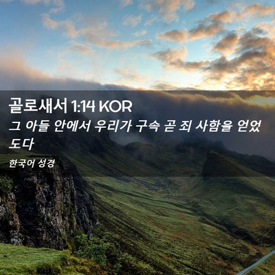 Picture 02 - 골로새서 1:14 KOR - 그 아들 안에서 우리가 구속 곧 죄 - Bible Verse Picture