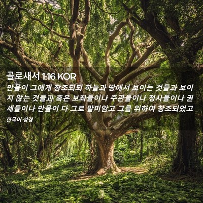 Picture 02 - 골로새서 1:16 KOR - 만물이 그에게 창조되되 하늘과 - Bible Verse Picture
