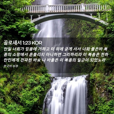 Picture 02 - 골로새서 1:23 KOR - 만일 너희가 믿음에 거하고 터 위에 - Bible Verse Picture