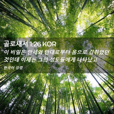 Picture 02 - 골로새서 1:26 KOR - 이 비밀은 만세와 만대로부터 옴으로 - Bible Verse Picture