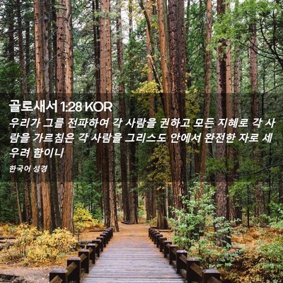 Picture 02 - 골로새서 1:28 KOR - 우리가 그를 전파하여 각 사람을 - Bible Verse Picture