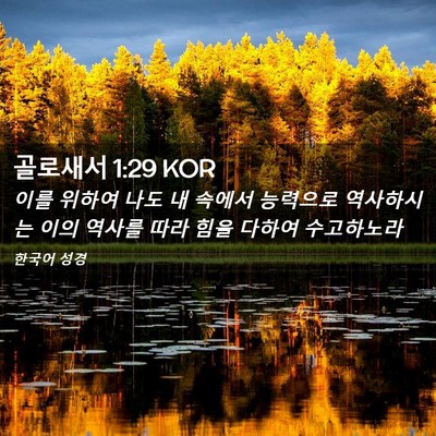 Picture 02 - 골로새서 1:29 KOR - 이를 위하여 나도 내 속에서 - Bible Verse Picture