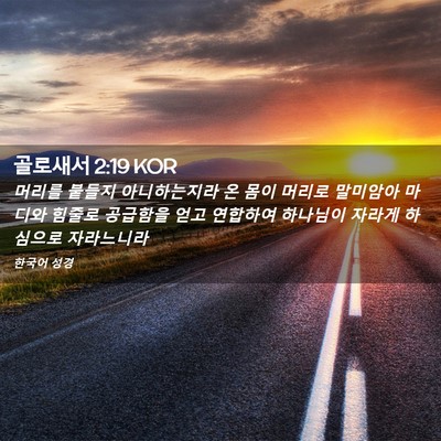 Picture 02 - 골로새서 2:19 KOR - 머리를 붙들지 아니하는지라 온 몸이 - Bible Verse Picture