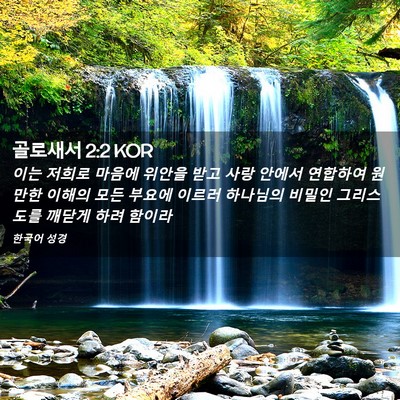 Picture 02 - 골로새서 2:2 KOR - 이는 저희로 마음에 위안을 받고 - Bible Verse Picture