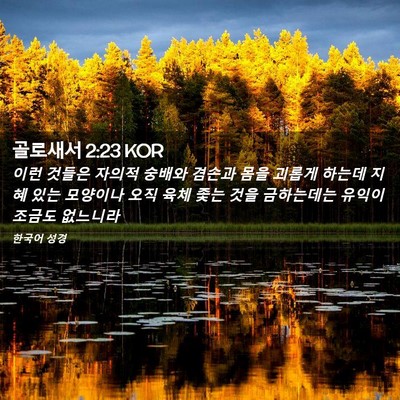 Picture 02 - 골로새서 2:23 KOR - 이런 것들은 자의적 숭배와 겸손과 - Bible Verse Picture