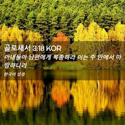 Picture 02 - 골로새서 3:18 KOR - 아내들아 남편에게 복종하라 이는 주 - Bible Verse Picture