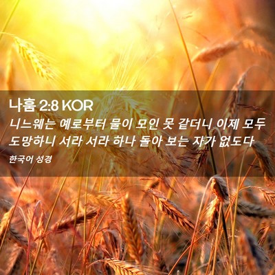 Picture 02 - 나훔 2:8 KOR - 니느웨는 예로부터 물이 모인 못 - Bible Verse Picture