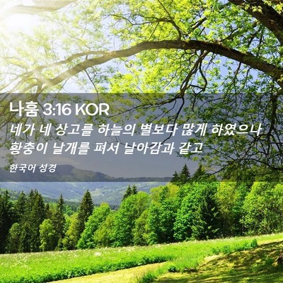Picture 02 - 나훔 3:16 KOR - 네가 네 상고를 하늘의 별보다 많게 - Bible Verse Picture