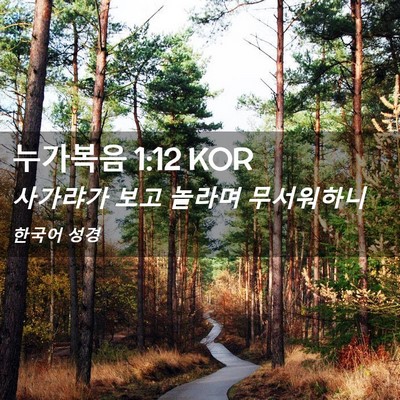 Picture 02 - 누가복음 1:12 KOR - 사가랴가 보고 놀라며 - Bible Verse Picture