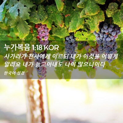 Picture 02 - 누가복음 1:18 KOR - 사가랴가 천사에게 이르되 내가 - Bible Verse Picture