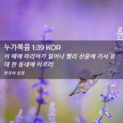 Picture 02 - 누가복음 1:39 KOR - 이 때에 마리아가 일어나 빨리 - Bible Verse Picture
